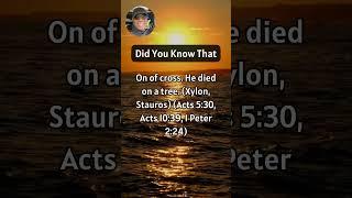 Did You Know That  Jesus Did Not ... #jesus