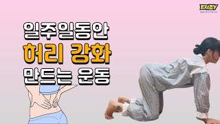 줌라이브 다시보기)시원하게 골반&허리 풀어주는 쉬운 스트레칭/2022.7.06(수)