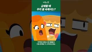 급체할 때 우리 몸 속에서는? [건강만화]