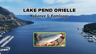 Lake Pend Oreille Kokanee and Kamloops