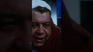هشتغل ايه خروف؟  #محمد_سعد #بوحه #shorts