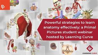 Primal Pictures Student Webinar - Exploring 6 powerful strategies to learn anatomy effectively