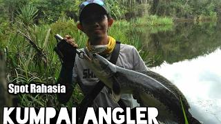 Spot Mancing ikan TOMAN MONSTER Kab bengkayang kalbar - Kumpai Angler