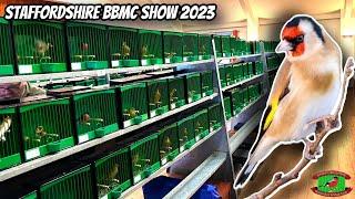 Staffordshire British Bird & Mule Club Show - January 2023