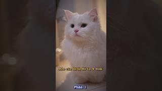 Mèo Của Tôi Là Hồ Ly 9 Đuôi P1 #thúcưng #vậtnuôi #chómèohàihước #funny #pets #funny #cute #cat #cute