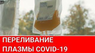 Переливание плазмы крови: насколько эффективно Городская больницы №40 город Сестрорецк