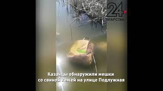 Мешки со свиной кожей разбросаны по центру Казани