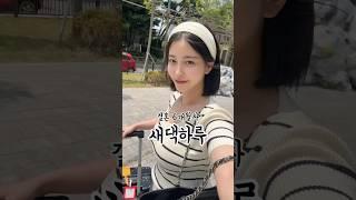 경기도 다낭시 갔다올게요