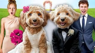 My DOG got MARRIED! In Real Life!