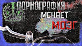 КАК ПОРНОГРАФИЯ МЕНЯЕТ МОЗГ | Удивительный факт | Просвещенный