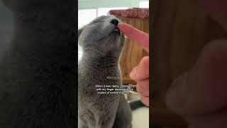 Gini’s new water fountain... #Enabot #EnabotROLAWaterFountain #cat