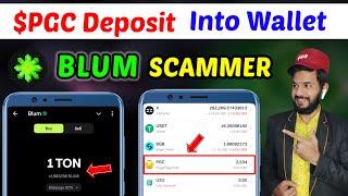 Blum Memepad Biggest Scam | $PGC Deposit into bitget wallet |PAWS New voting for best crypto history