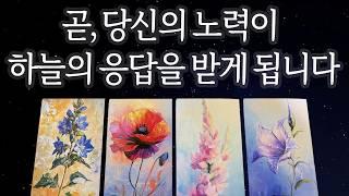 [타로운세] 곧 당신의 노력이 결실을 맺습니다 하늘이 보내는 응답을 지금 확인하세요