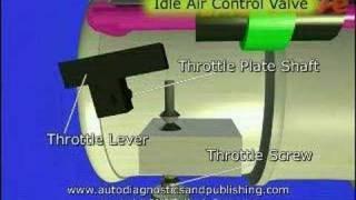 TPS or Throttle Position Sensor Adjustment 1