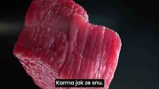 Dolina Noteci Superfood - karma suszona