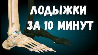 Переломы лодыжек, всё что нужно знать за 10 минут