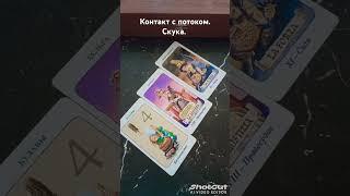 Контакт с потоком. Скука. #таро #сатсанг #ум #пробуждение