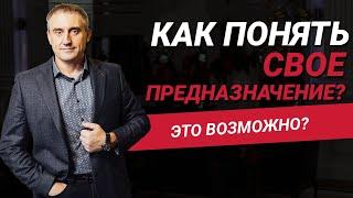 Как понять свое предназначение в жизни? Возможно ли это сделать?  | Николай Сапсан