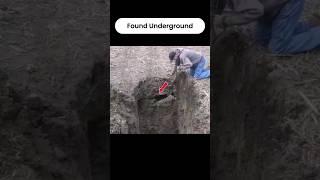 What They Found Underground Shocked the Entire World # #history #treasurehunt #metaldetecting