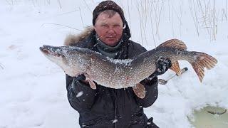 Трофейная Щука. Рыбалка на Жерлицы. Попали в снежный плен! Помощь МЧС! 29.03.2021г