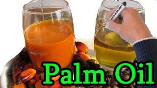 Palm oil - really harmful? truth about palm oil, products which contains palm oil,