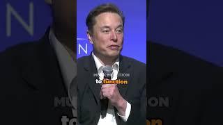 "A Zombie Apocalypse Is Coming Sooner Than You Think" - Elon Musk