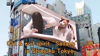 (No cut) Cat & evil spirit "Sadako" - 3D digital billboard in Shinjuku Tokyo.