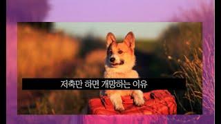 저축만 하면 백퍼 망하는 이유 [부린이tv]