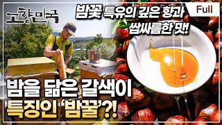 [Full] 고향민국 - 청양, 까치내 마을 사람들