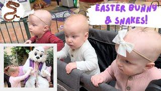 *Easter Special* Triplets first easter bunny encounter & catching a snake at their first egg hunt!