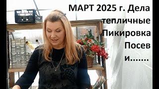 Март 2025 г. Дела тепличные. Готовимся к новому урожаю.