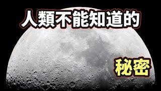 「月球起源」「美國登月」「外星人」「大洪水」你想知道的真相都在這裡！（2021）｜【你可敢信 & Nic Believe】