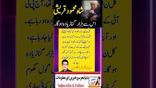 Syed Iqrar ul Hassan ARY about Shah Mehmood Qureshi PTI today and Pmln
