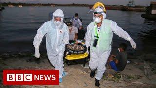 Virus deaths in Latin America race past 100,000 - BBC News