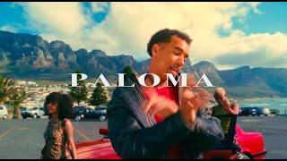 (FREE) Afro House x Summer Afro Type Beat - Paloma | Free Afro/House Instrumental 2025