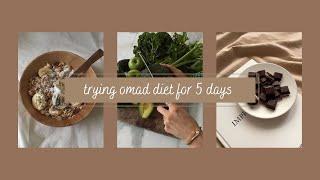 i tried the omad diet for 5 days (one meal a day)