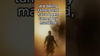 Does a Spark Shape Destiny?   #motivation #wisdom