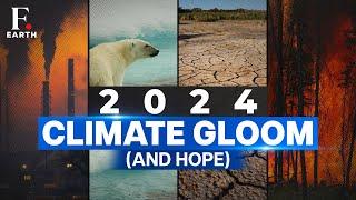 Greening Antarctica, Flooded Sahara: 2024 - Year of Climate Change | Firstpost Earth Year Ender