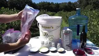 Homemade Wine | Blueberry Wine | How to Make Fruit Wine | DIY | Wine Recipes