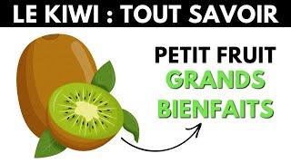 Kiwi : ses dangers et bienfaits pour la santé - Dr Santé