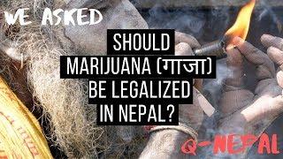 Should Marijuana (गाजा) be Legalized in Nepal? || Q-Nepal || Balance Media ||