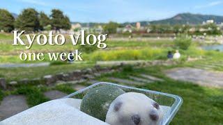 vlog ｜ Workation for a week in Kyoto  ｜ Enjoy mamemochi ｜ Relaxing weekend in Kamogawa 