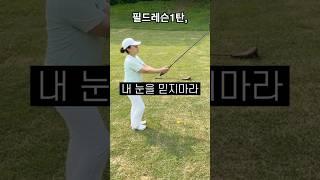 제발 목표를 보지마세요 !!! #골프 #골프레슨 #골프스윙