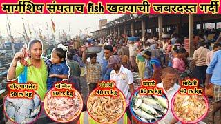 Sassoon Dock Fish Market Latest Video | Colaba Wholesale Fish Market | Colaba Fish Market Mumbai