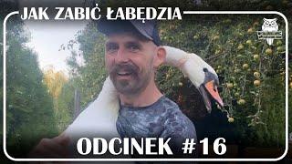 Odcinek #16 - Jak zabić łabędzia 