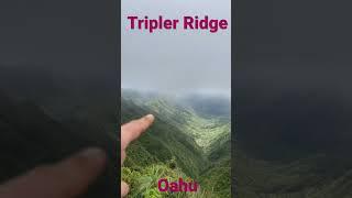 Most intense hike on Oahu - Tripler Ridge to Stairway to Heaven #hiking #hawaii