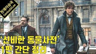 '신비한 동물사전 2' 보기 전에 꼭 보세요! 1편의 설정과 주요 인물 간단 정리!