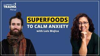 Nutrition for Trauma Recovery: 3 Superfoods To Calm Adrenaline & Anxiety