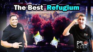 Unique refugium method that BLEW US AWAY