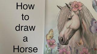 How to draw a horse head portrait pencil drawing